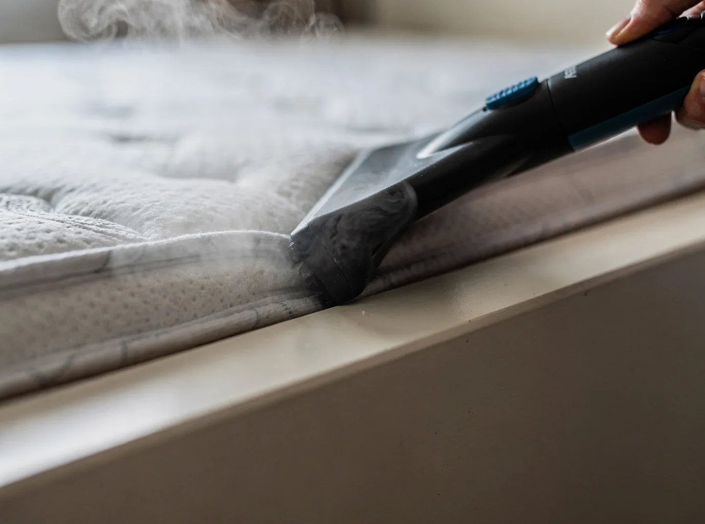 Why choose Dust Mite Treatment in Ascot